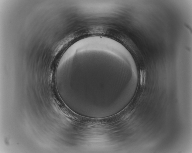 X0000099950723200806131447