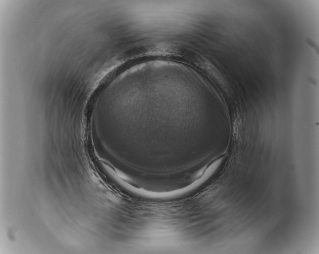 X0000099950724200806131447