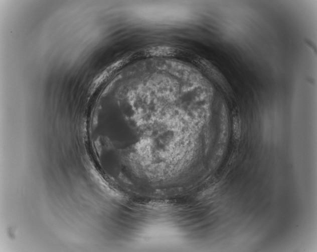 X0000099950725200806131447