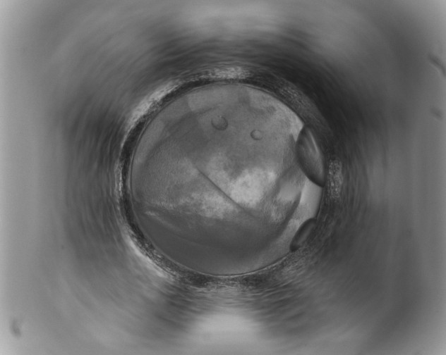 X0000099950726200806131447