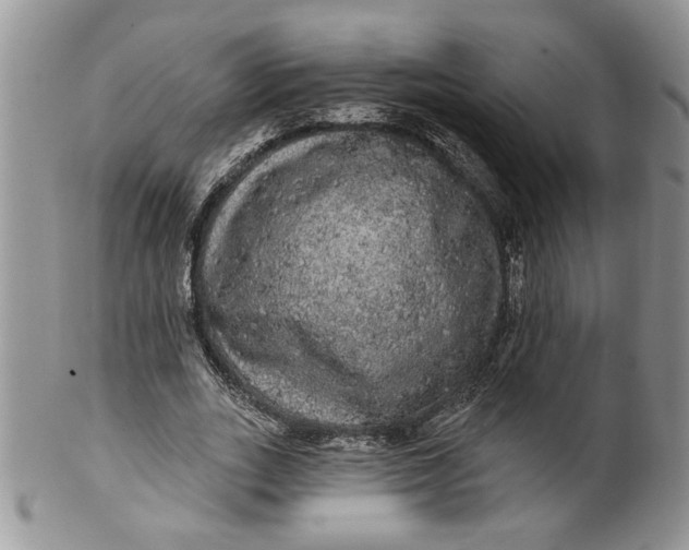 X0000099950727200806131447