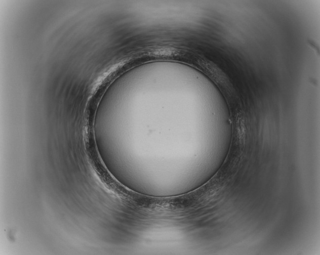 X0000099950728200806131447