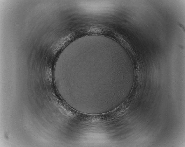 X0000099950729200806131447