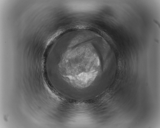 X0000099950730200806131447