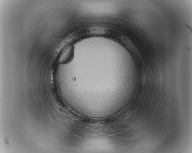 X0000099950731200806131447