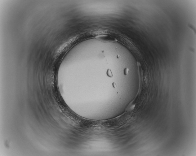 X0000099950732200806131447