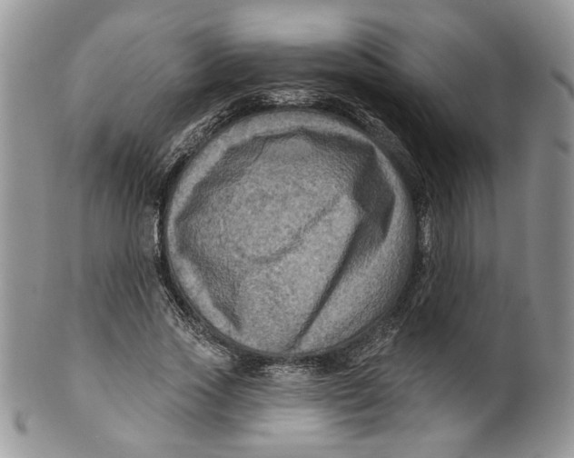 X0000099950733200806131447