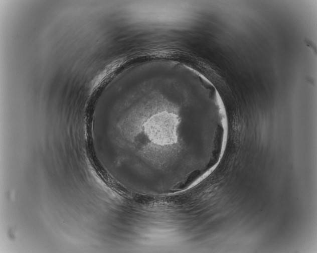 X0000099950734200806131447