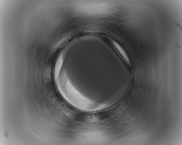 X0000099950735200806131447