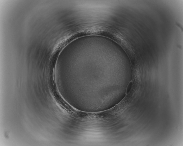 X0000099950736200806131447