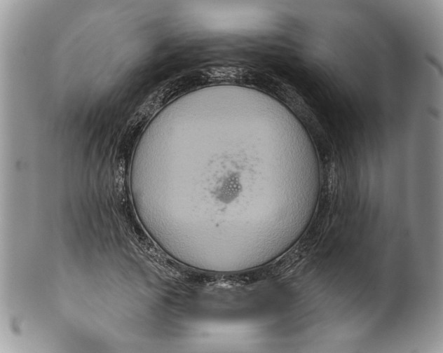 X0000099950737200806131447