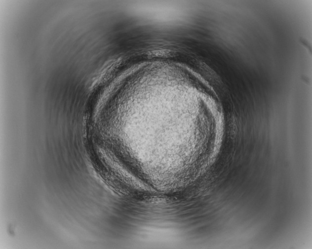 X0000099950738200806131447