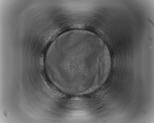 X0000099950739200806131447