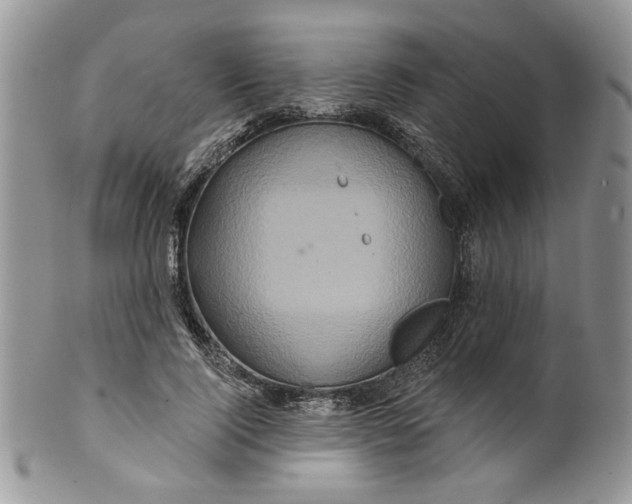 X0000099950740200806131447