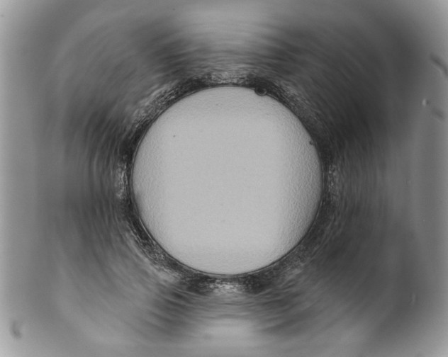 X0000099950741200806131447