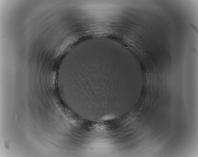 X0000099950742200806131447