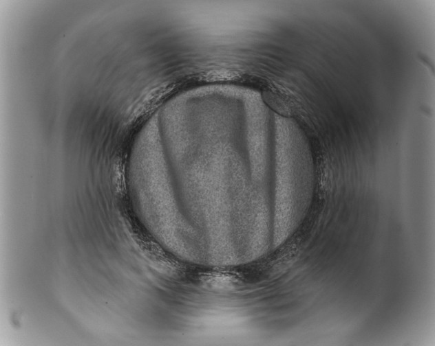 X0000099950743200806131447