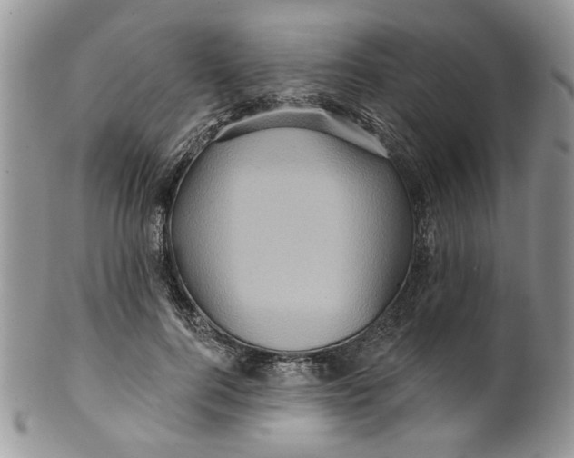 X0000099950744200806131447