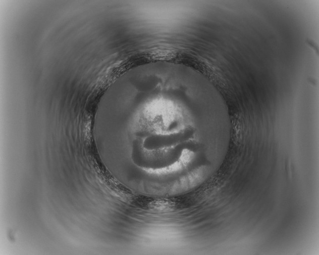 X0000099950745200806131447