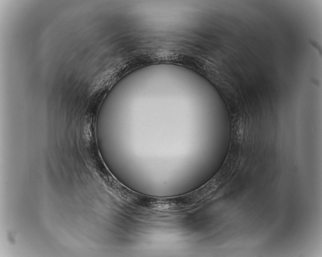 X0000099950746200806131447