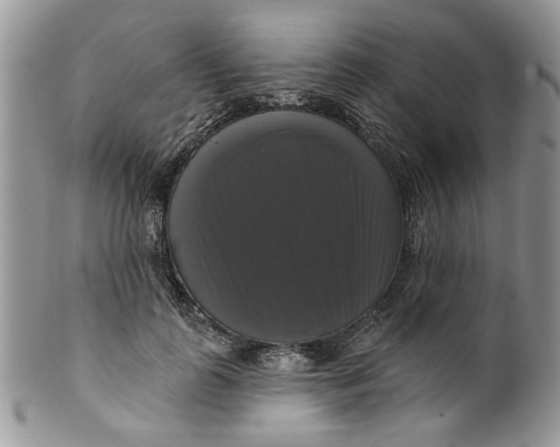 X0000099950747200806131447