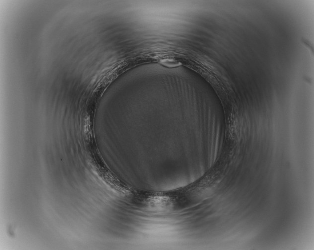 X0000099950748200806131447