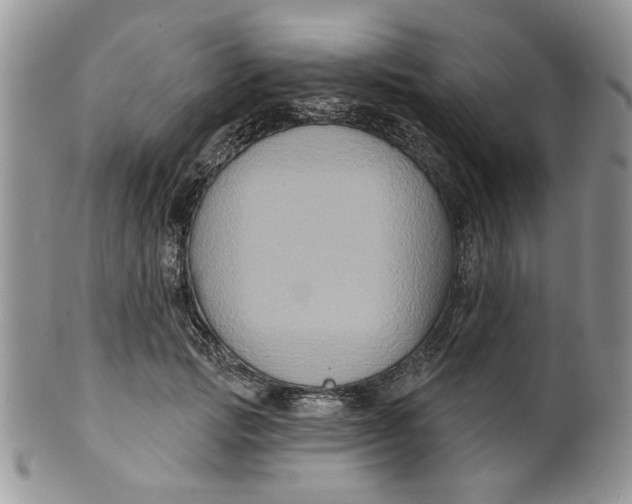 X0000099950749200806131447