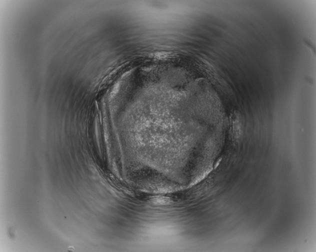 X0000099950750200806131447