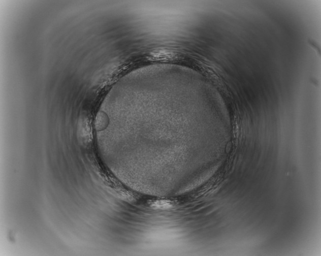 X0000099950751200806131447