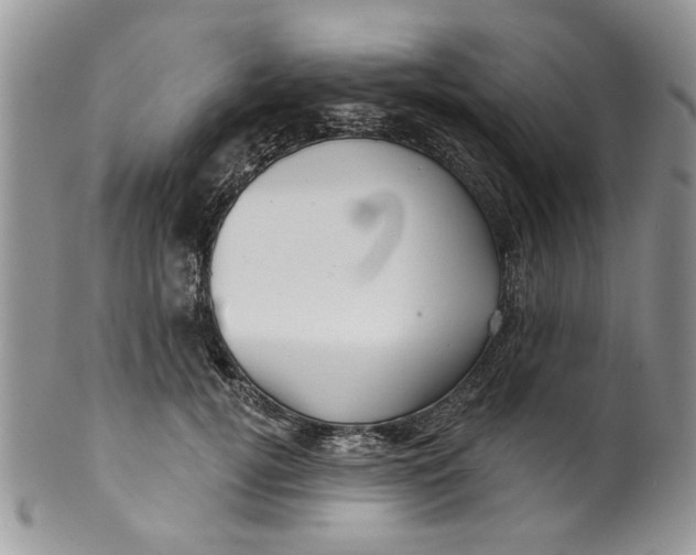 X0000099950752200806131447