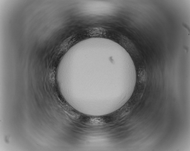 X0000099950753200806131447