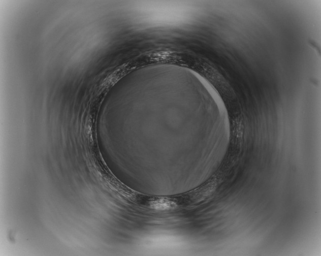 X0000099950754200806131447