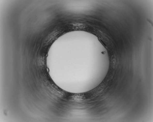 X0000099950756200806131447