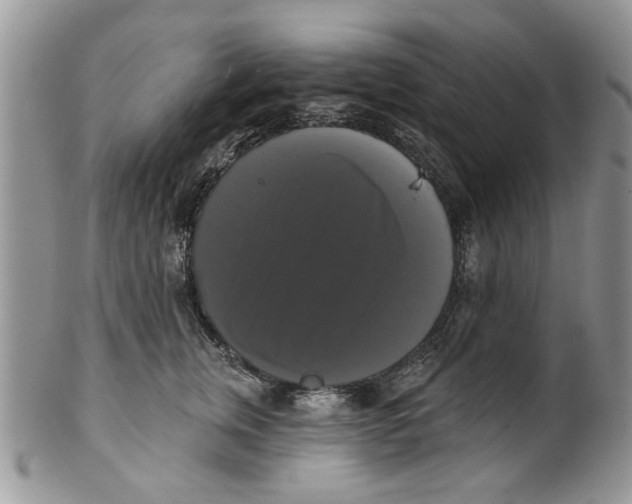 X0000099950759200806131447