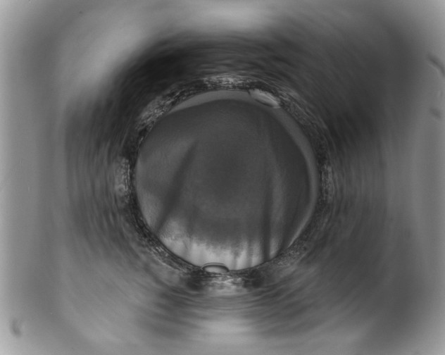 X0000099950760200806131447