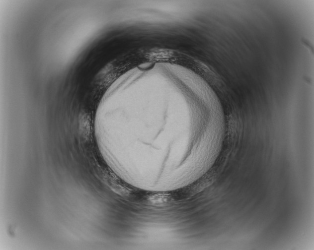 X0000099950761200806131447