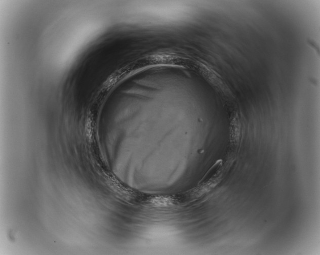 X0000099950762200806131447