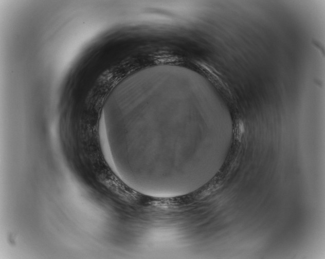 X0000099950763200806131447