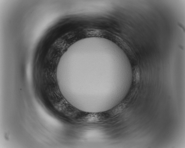 X0000099950764200806131447