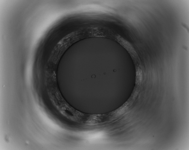 X0000099950765200806131447