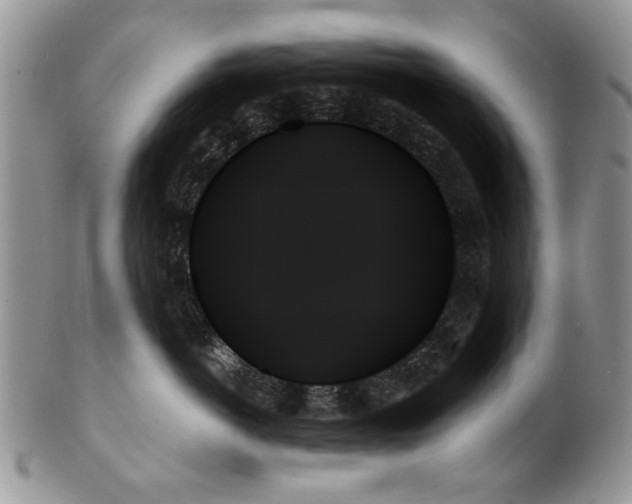 X0000099950766200806131447