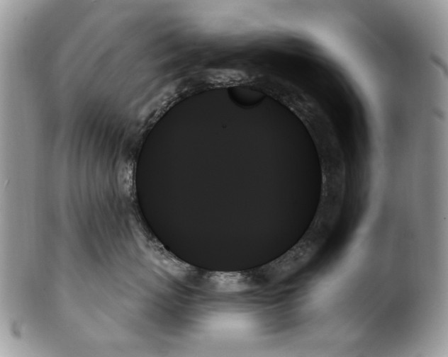 X0000099950767200806131447