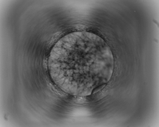 X0000099950768200806131447