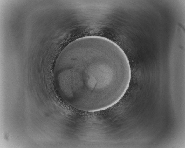 X0000099950769200806131447