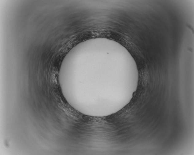 X0000099950770200806131447