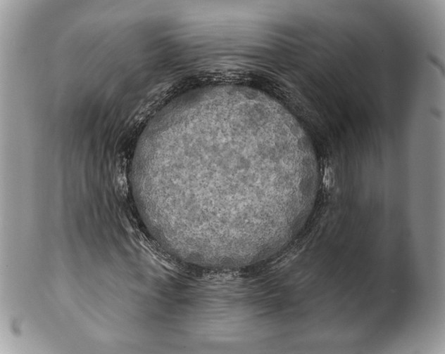 X0000099950771200806131447