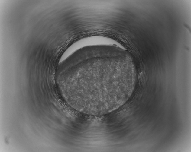 X0000099950772200806131446