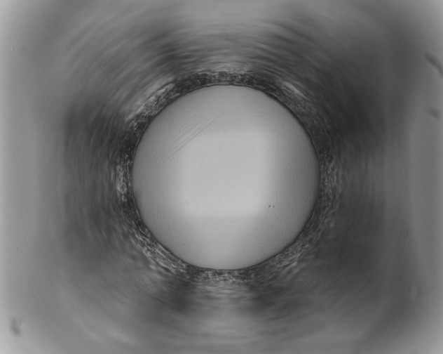 X0000099950774200806131446