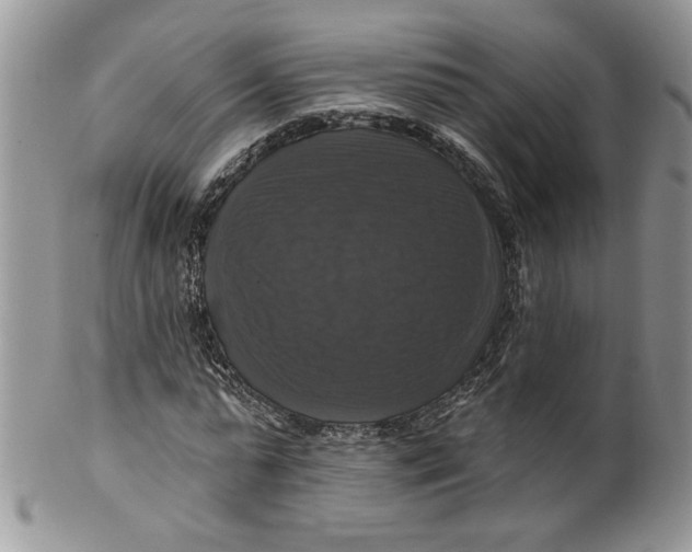 X0000099950775200806131446