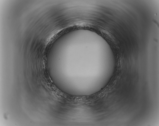 X0000099950776200806131446